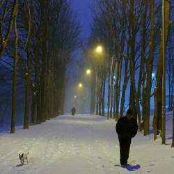 Управляющие компании и предприятия Владивостока, вняв рекомендациям городских властей, вышли на уборку снега с раннего утра #9