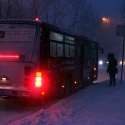 Управляющие компании и предприятия Владивостока, вняв рекомендациям городских властей, вышли на уборку снега с раннего утра #15