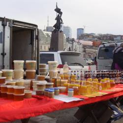 Жители столицы Приморья охотно покупают продукты питания по доступной цене #1