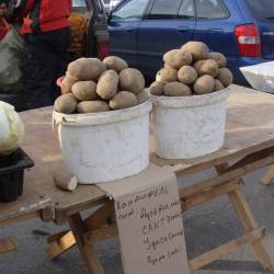 Жители столицы Приморья охотно покупают продукты питания по доступной цене #9