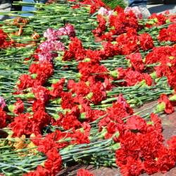 Торжественная церемония возложения гирлянды и цветов прошла у памятника боевой славы Тихоокеанского флота #35