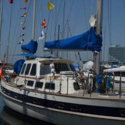 Международная выставка катеров и яхт стартовала во Владивостоке #20