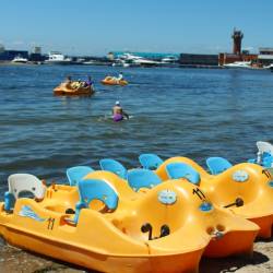 В солнечную погоду горожане и гости приморской столицы выбирают отдых у моря #4