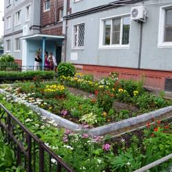 Как энтузиасты своими руками украшают дворы Владивостока #13