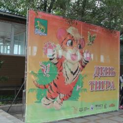 На набережной спортивной гавани горожане и гости Владивостока начали празднование «Дня Тигра» со дня рождения тигрят Амурчика и Тайги #12