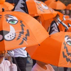 Основные мероприятия в честь Дня тигра прошли на центральной площади города #6