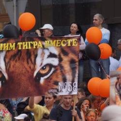 Основные мероприятия в честь Дня тигра прошли на центральной площади города #17
