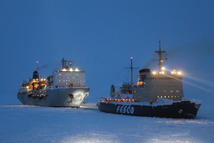 Сахалинский залив1 январь 2011 (122).jpg