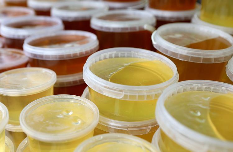 Липовым медом нового урожая смогут угоститься жители Уссурийска