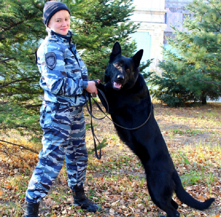 Собака помогла раскрыть преступление в Приморском крае
