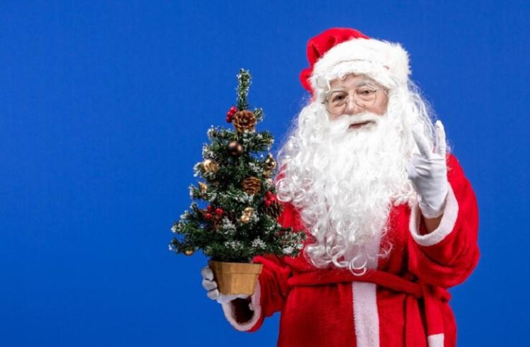 Эксперты рассказали о ценах на Деда Мороза и Снегурочку во Владивостоке
