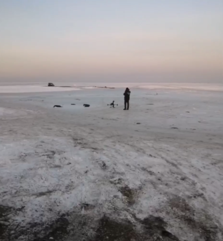 Рыбаков-нарушителей во Владивостоке ищут с помощью квадрокоптера