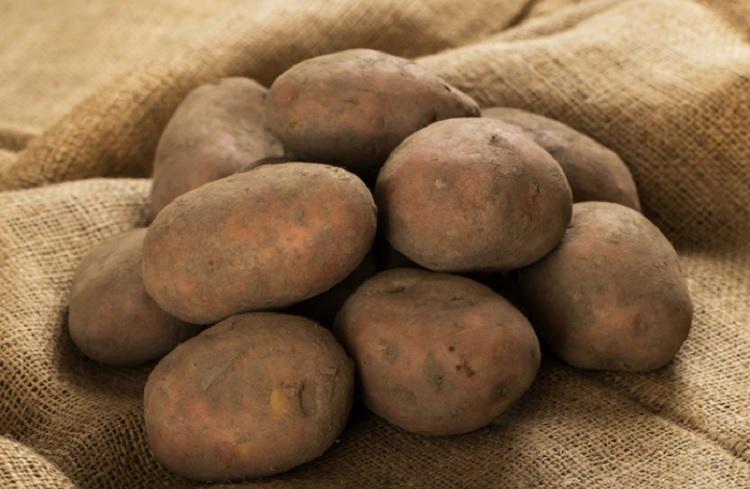 Первую партию картофиля из Пакистана доставили в Приморский край