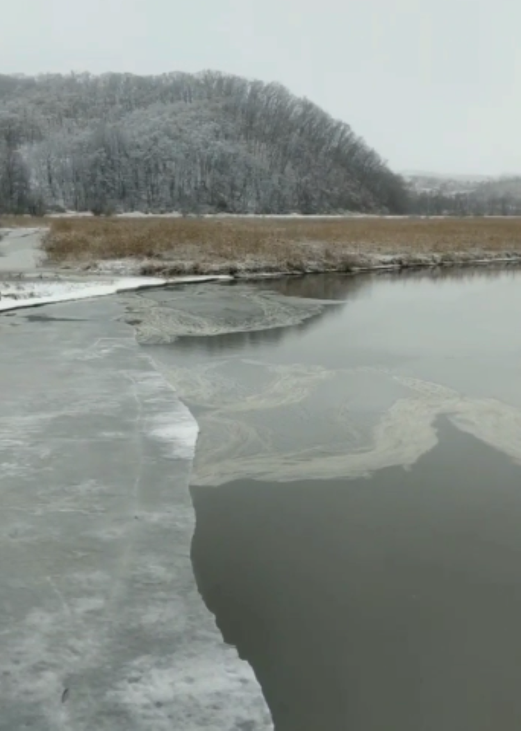 Прокуратура проверит информацию о загрязнении реки в Приморье