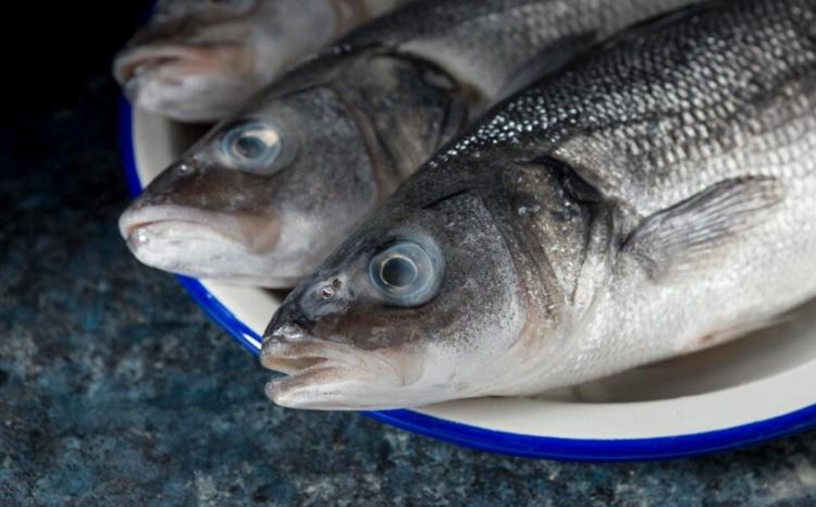 Нутрициолог назвал опасные для здоровья виды рыб