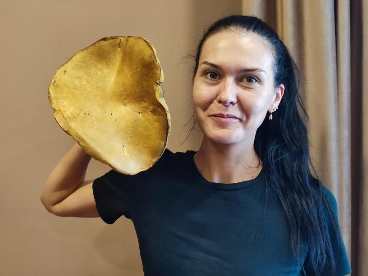 Гигантский белый гриб весом почти в 700 грамм нашли в Благовещенске