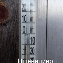 Минимальная температура -10°С была зафиксирована в Пшеницино #7