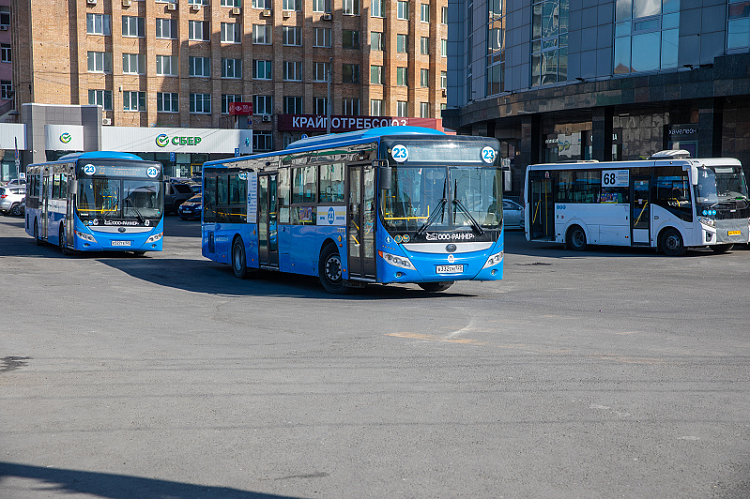 Более 2 млн. руб. штрафов заплатят автотранспортные предприятия Владивосток