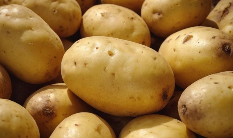 Поставки картофеля из Пакистана возобновились в Приморье