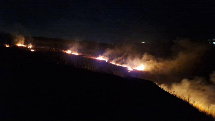 Во Владивостоке пожарные потушили пал травы в районе Тихой