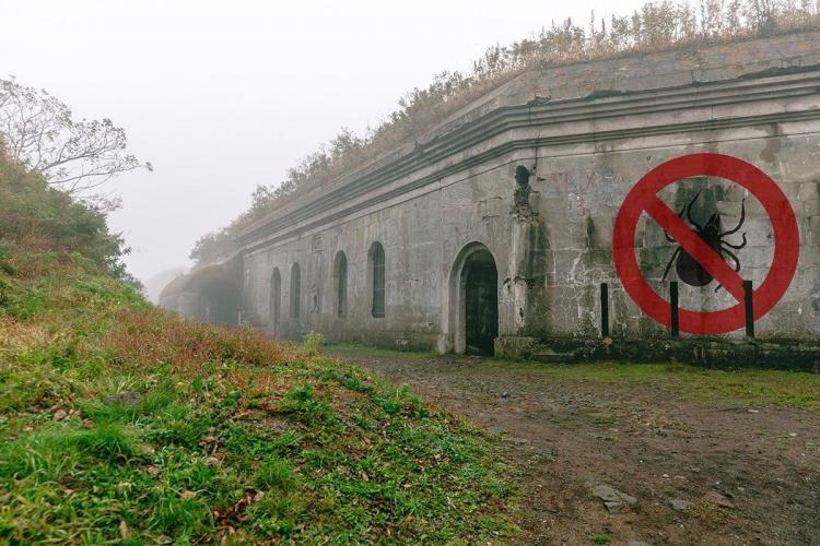 Владивостокскую крепость избавят от клещей