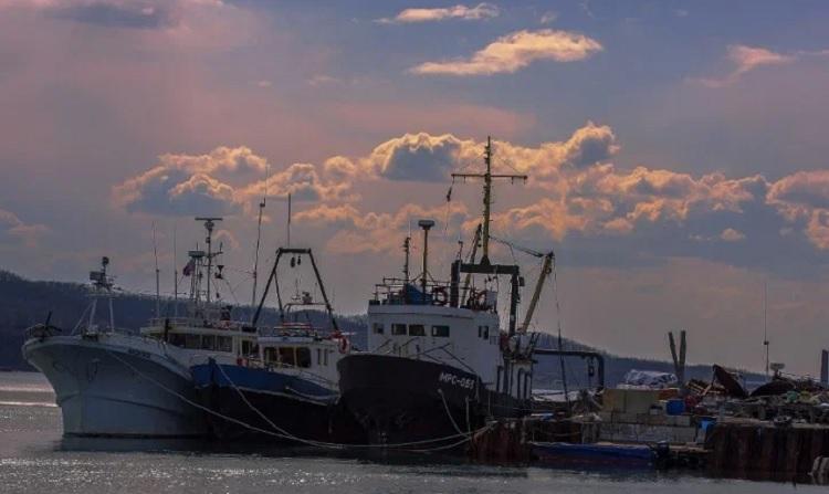 Рыбные порты Приморского края загружены на 30%