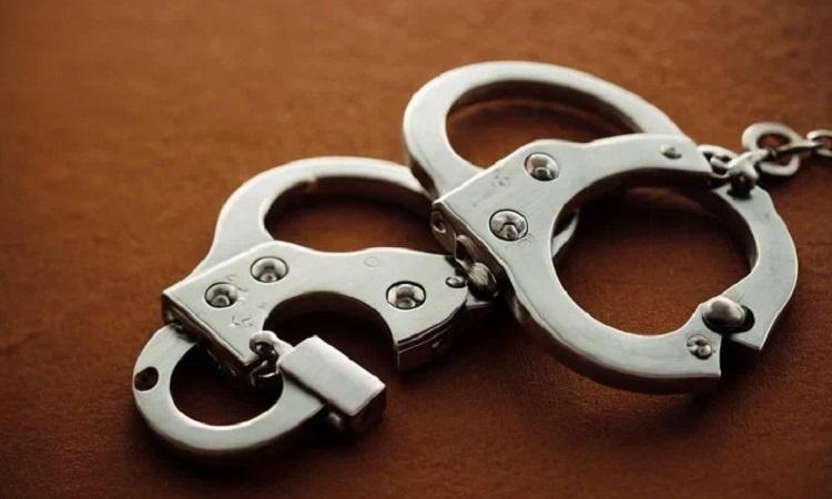 Арестованный в Приморье американец признал вину в совершении кражи