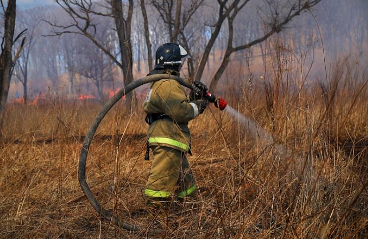 Два природных пожара потушили в Приморье за выходные