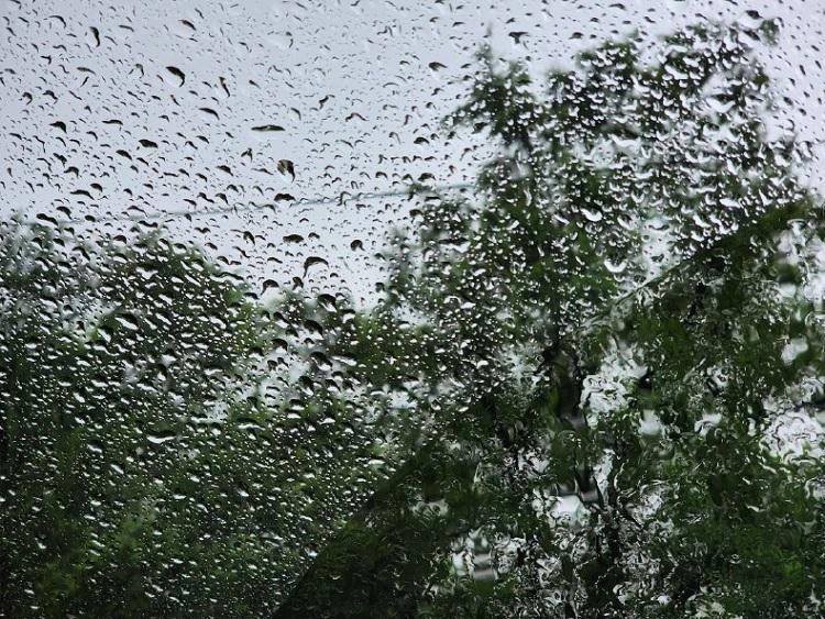 Дожди прольются на территории Приморья в четверг