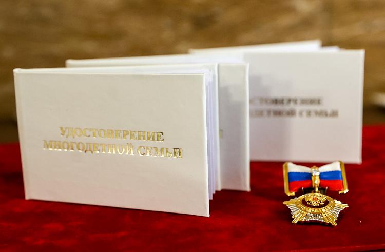 В Приморье завершилась оптимизация мер поддержки для многодетных семей