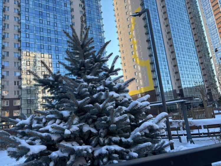 Дождь со снегом и похолодание накроют Приморье