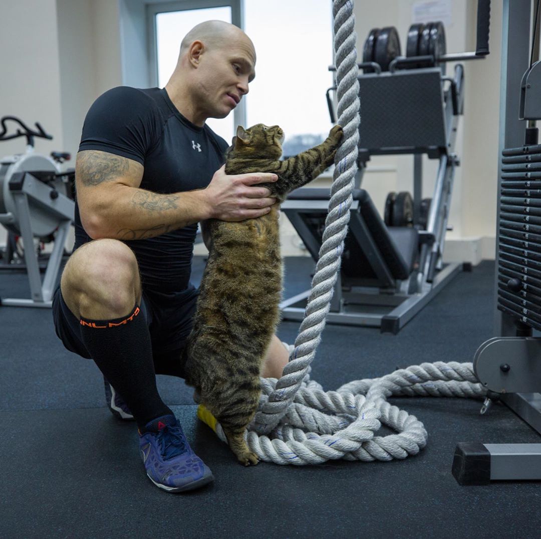 Спортивный кот