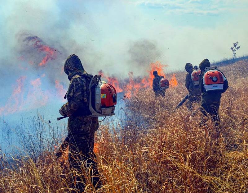 Воздействие лесного пожара на человека. Задымление в лесу и человек. Пожары в Хасанском районе. Пожар в лесу на тепловизоре.