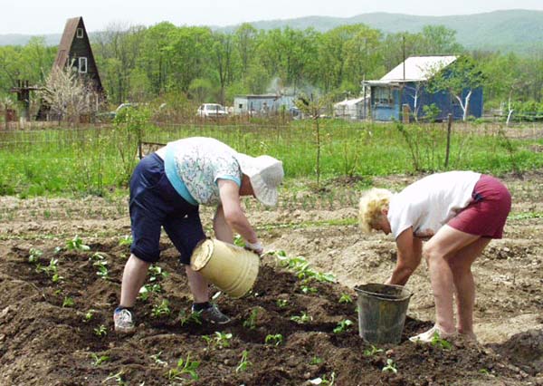 Дела дача. В Нижнем Одесе помогли дачникам.