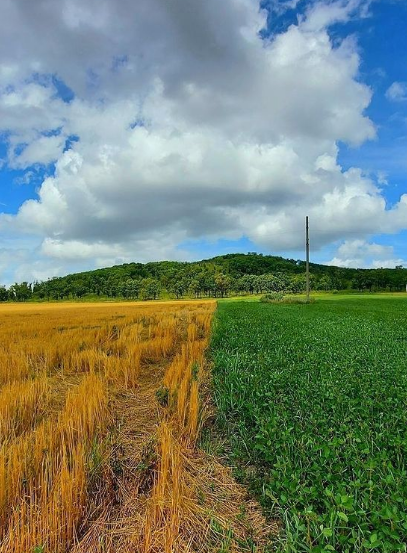 Рубеж лета. Поле фото без ап. Лето и осень граница.