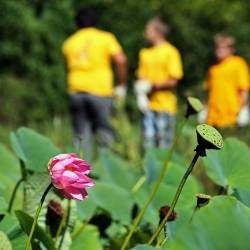 Школьники и волонтеры навели порядок на берегу озера с уникальными цветами #1