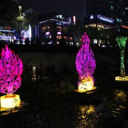 Световыми инсталляциями сеульцы и туристы любовались больше 2 недель #9