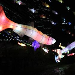 Световыми инсталляциями сеульцы и туристы любовались больше 2 недель #15