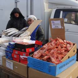 Жители столицы Приморья охотно покупают продукты питания по доступной цене #2