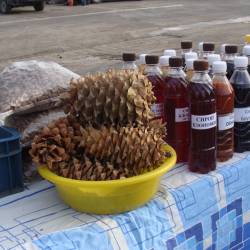 Жители столицы Приморья охотно покупают продукты питания по доступной цене #16