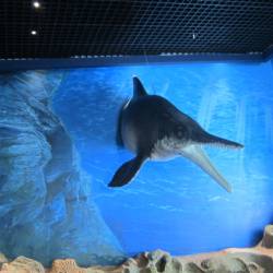 Планы на развитие грандиозные #4