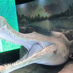 Планы на развитие грандиозные #5