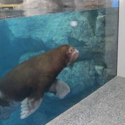 Планы на развитие грандиозные #8