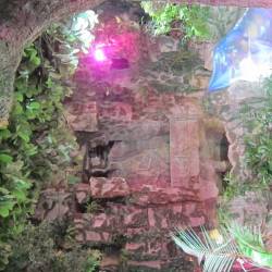 Планы на развитие грандиозные #14