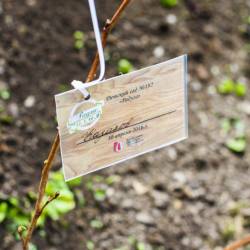 Впечатлений хватит надолго #12