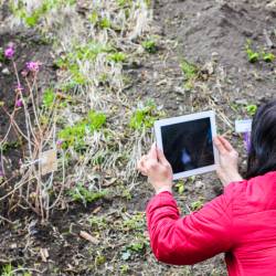 Впечатлений хватит надолго #15