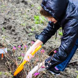 Впечатлений хватит надолго #17