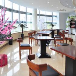 Под руководством Трудовой партии Кореи #2