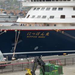 На круизном лайнере в столицу Приморья прибыло более 300 туристов из Японии #3