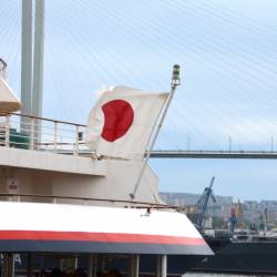 На круизном лайнере в столицу Приморья прибыло более 300 туристов из Японии #6